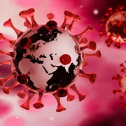 iStock 1213568922 world neuro infection