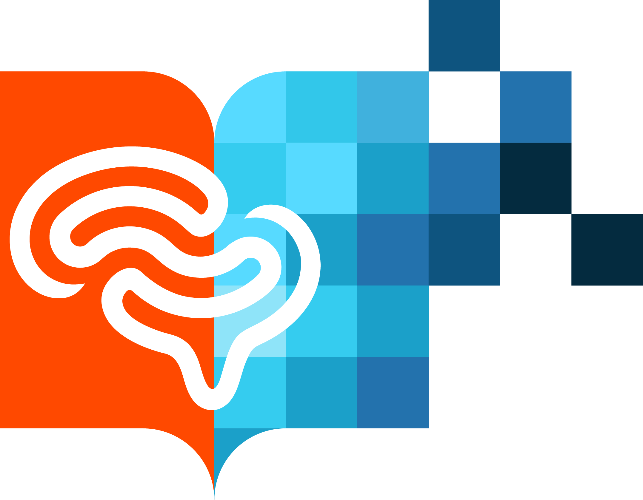 AAN-WFN Continuum Education Programme