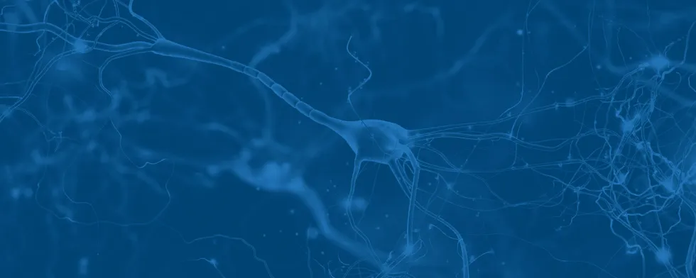 Introduction to Brain Health