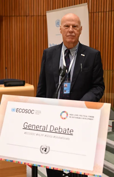 Prof. Dr Wolfgang Grisold at the HLPF 2025